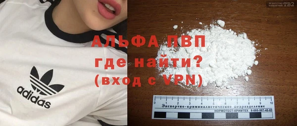 спиды Лагань