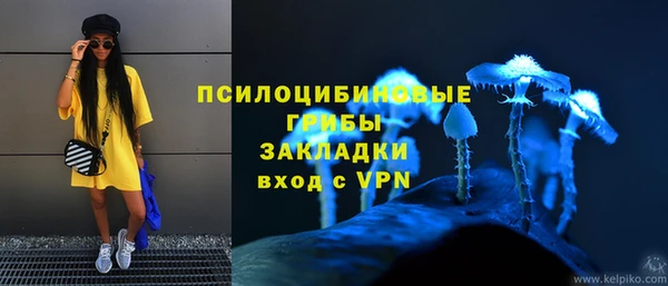 стаф Лихославль