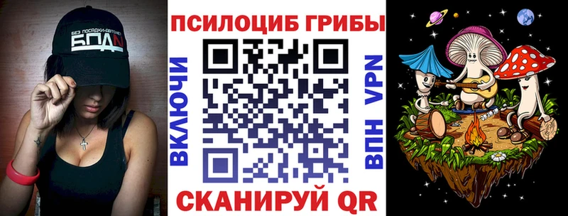 Купить закладки  Чекалин  Псилоцибиновые грибы ЛСД 